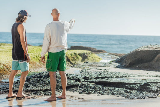 The Surprising Ways Sea Moss Gel Can Transform Your Hair Health